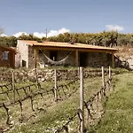 Quinta Da Portela - Casa Visconde Arneiros - By Rowdhouses Lamego