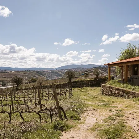 Quinta Da Portela - Casa Visconde Arneiros - By Met