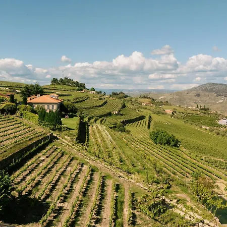 Quinta Da Portela - Casa Visconde Arneiros - By Met *