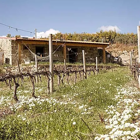 Quinta Da Portela - Casa Visconde Arneiros - By Rowdhouses
