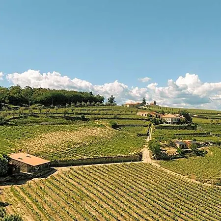 Quinta Da Portela - Casa Visconde Arneiros - By Rowdhouses 3*