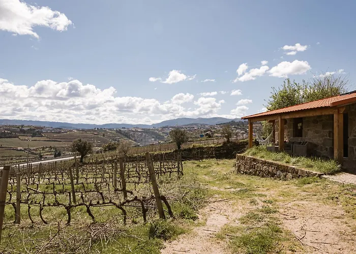 Quinta Da Portela - Casa Visconde Arneiros - By Rowdhouses