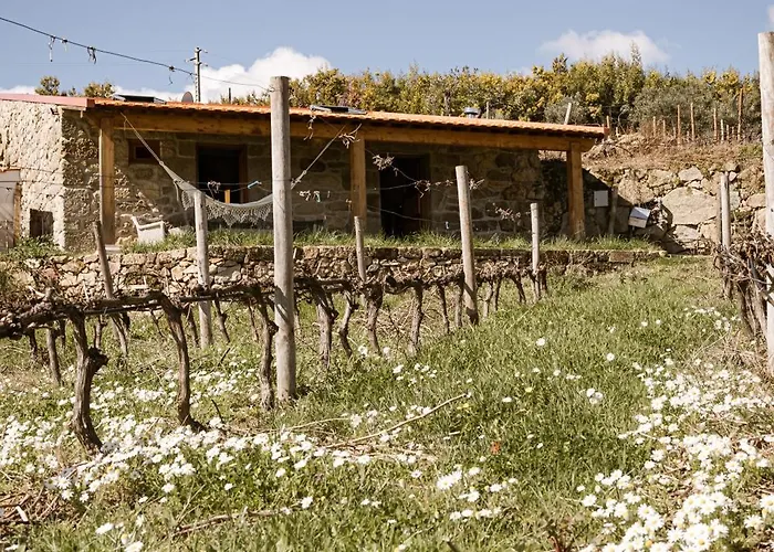 Quinta Da Portela - Casa Visconde Arneiros - By Rowdhouses Alojamento de Acomodação e Pequeno-almoço