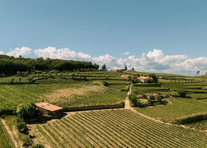Quinta Da Portela - Casa Visconde Arneiros - By Rowdhouses Alojamento de Acomodação e Pequeno-almoço
