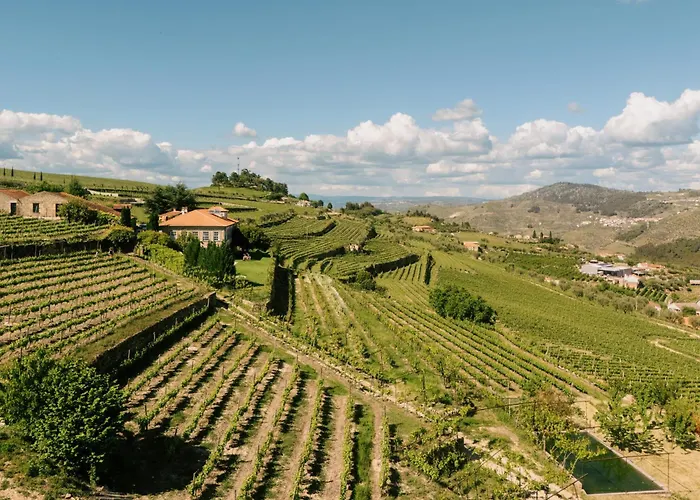 Quinta Da Portela - Casa Visconde Arneiros - By Rowdhouses 4*